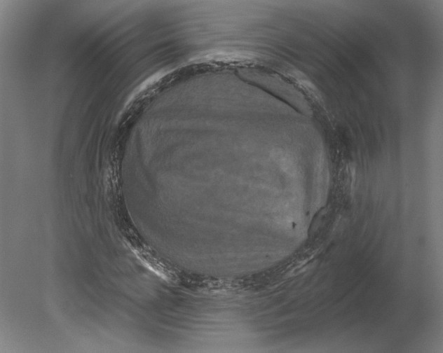 X0000080770920200701051258