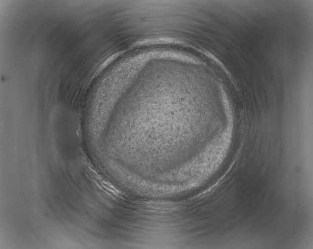 X0000080770921200701051258