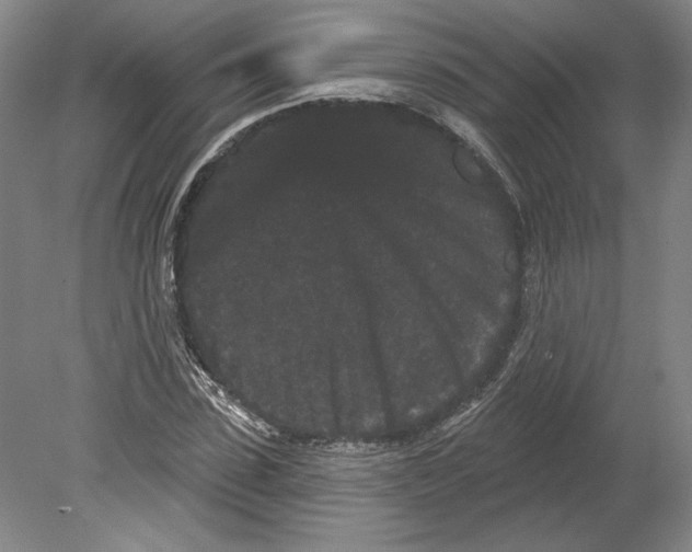 X0000080770923200701051258