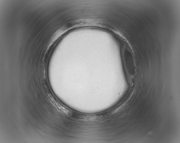 X0000080770925200701051258