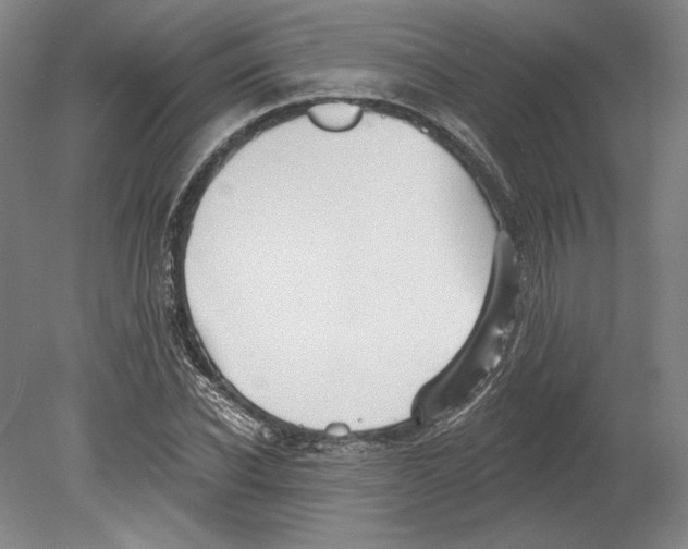 X0000080770926200701051258