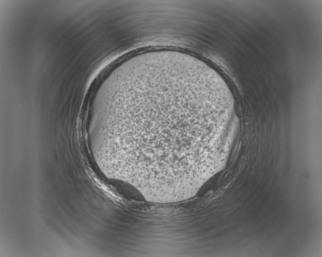 X0000080770928200701051258