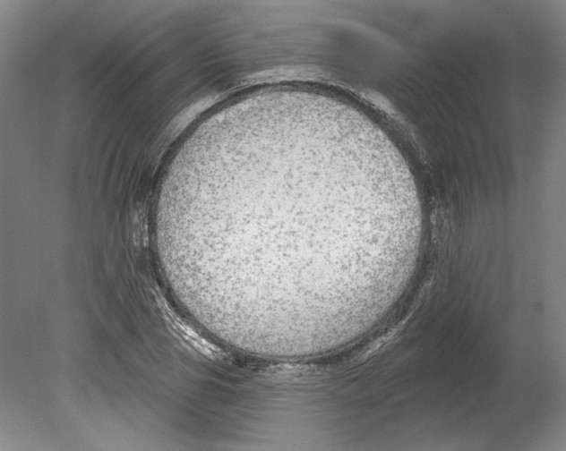 X0000080770929200701051258