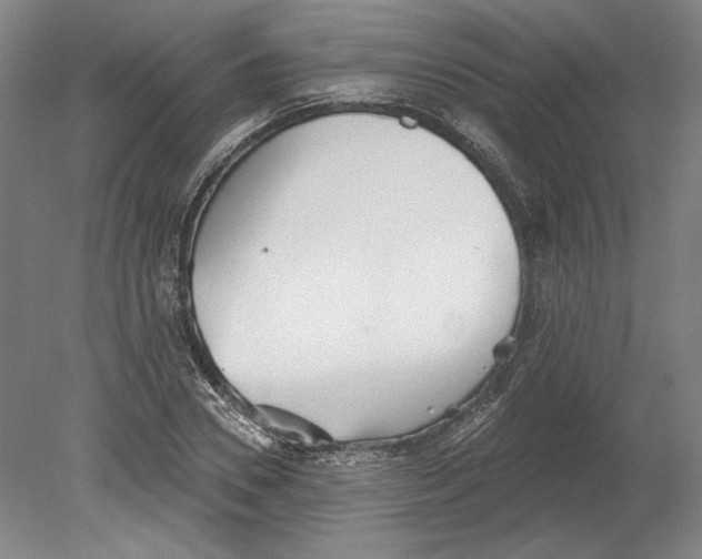 X0000080770930200701051258