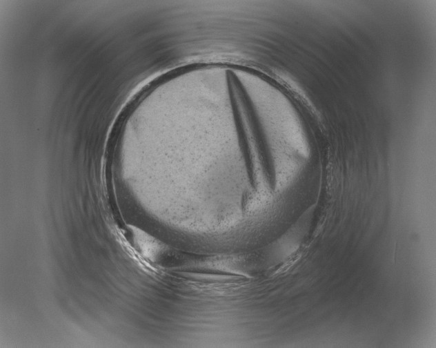 X0000080770932200701051258