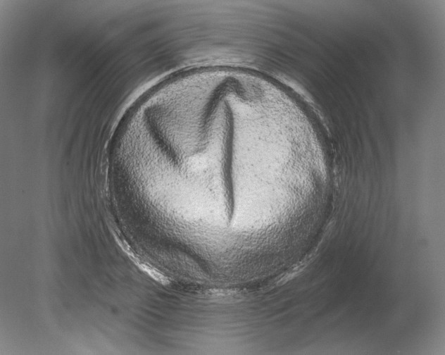 X0000080770933200701051258