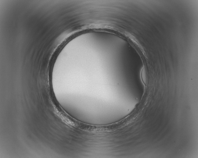 X0000080770934200701051258