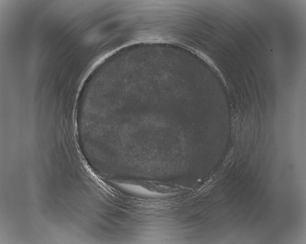 X0000080770935200701051258