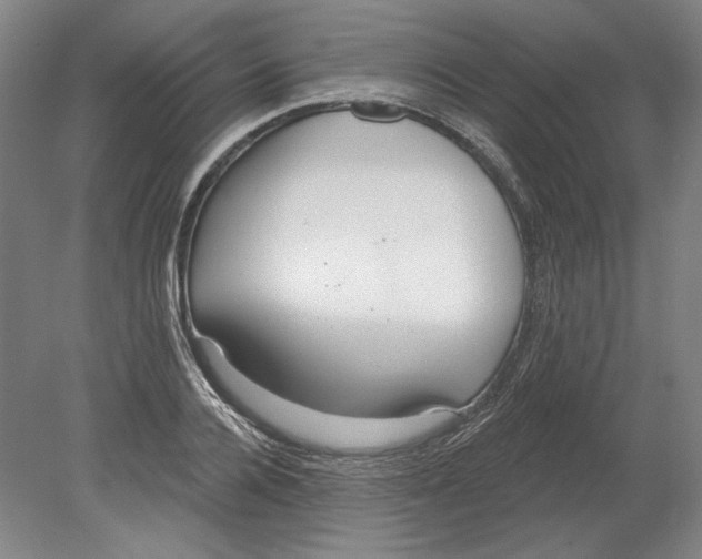 X0000080770936200701051258