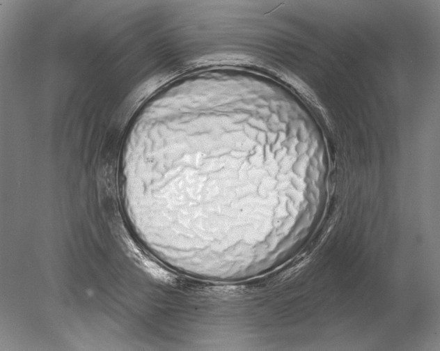 X0000080770937200701051258