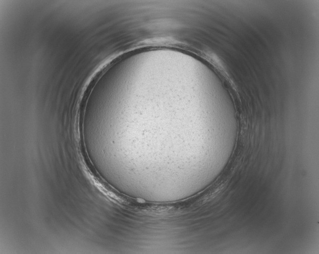 X0000080770939200701051258