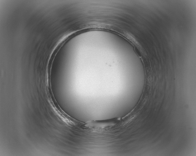 X0000080770940200701051258