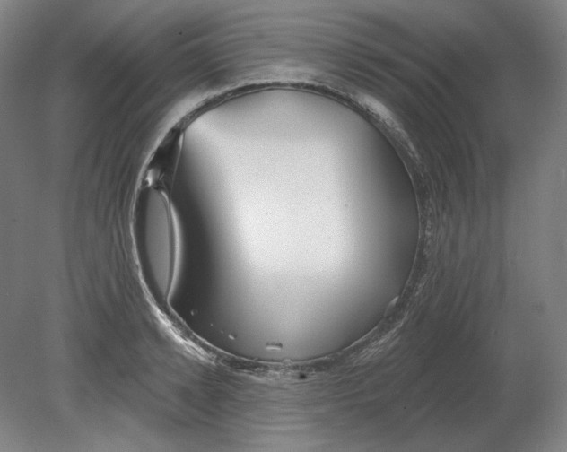 X0000080770942200701051258