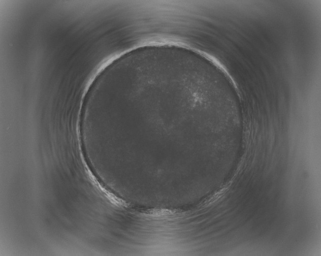 X0000080770943200701051258