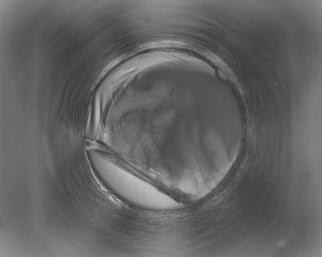 X0000080770945200701051258