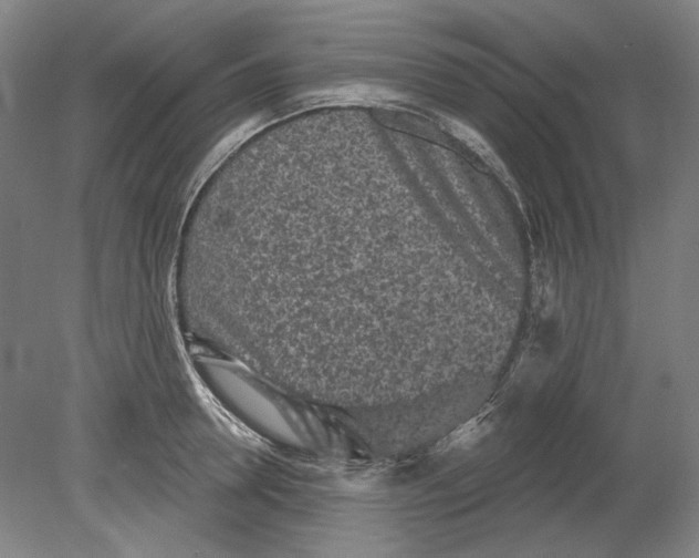 X0000080770946200701051258