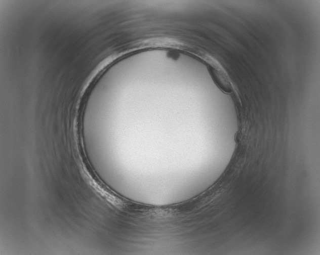 X0000080770947200701051258