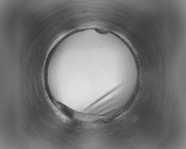 X0000080770949200701051258