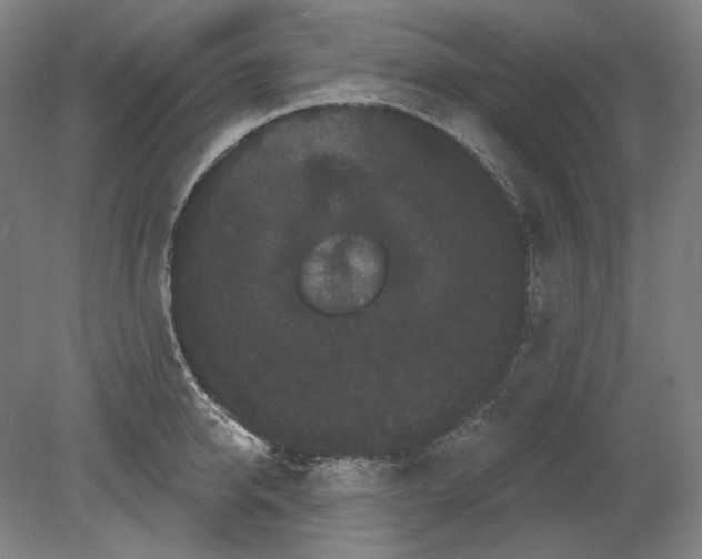 X0000080770950200701051258