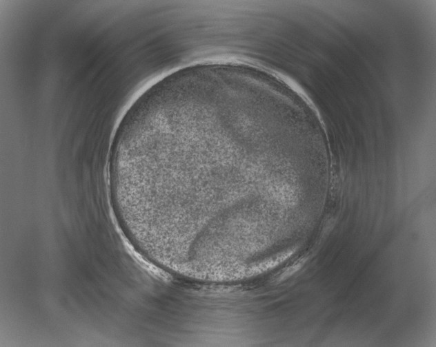 X0000080770951200701051258