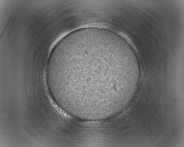 X0000080770952200701051258