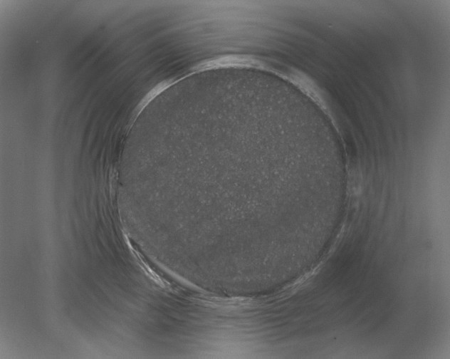 X0000080770953200701051258