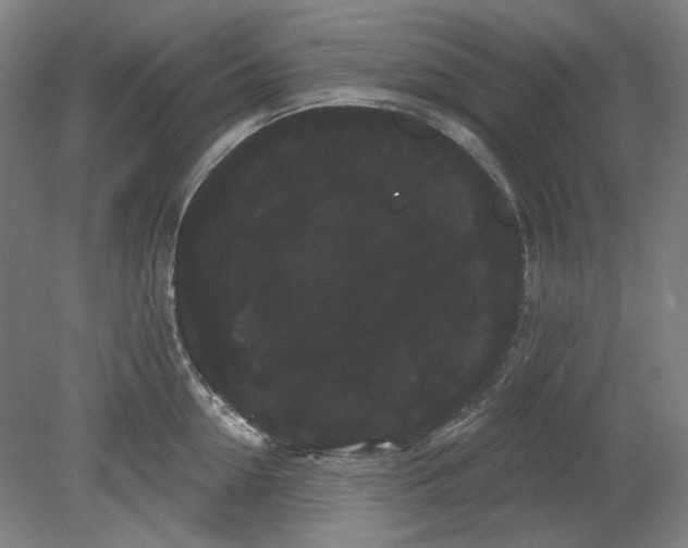 X0000080770954200701051258