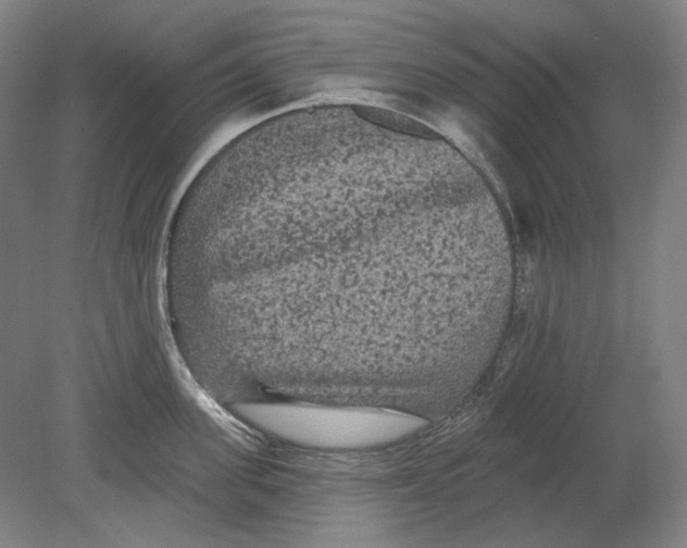 X0000080770955200701051258