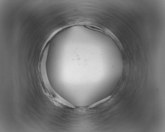 X0000080770956200701051258