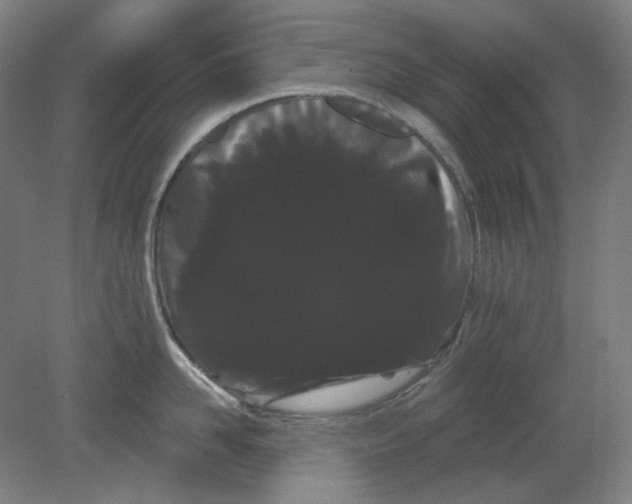 X0000080770958200701051258