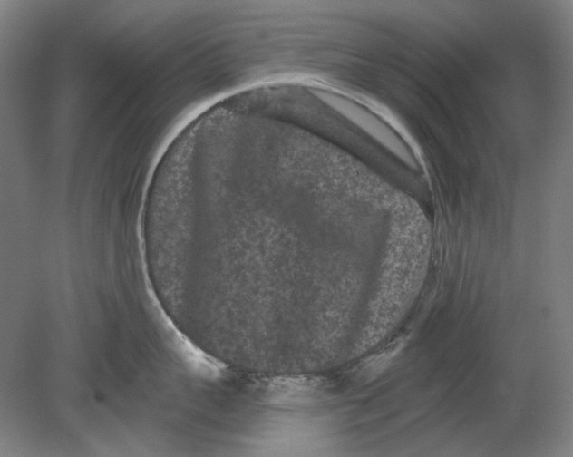 X0000080770959200701051258