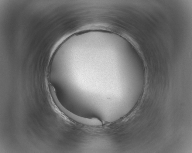 X0000080770960200701051258