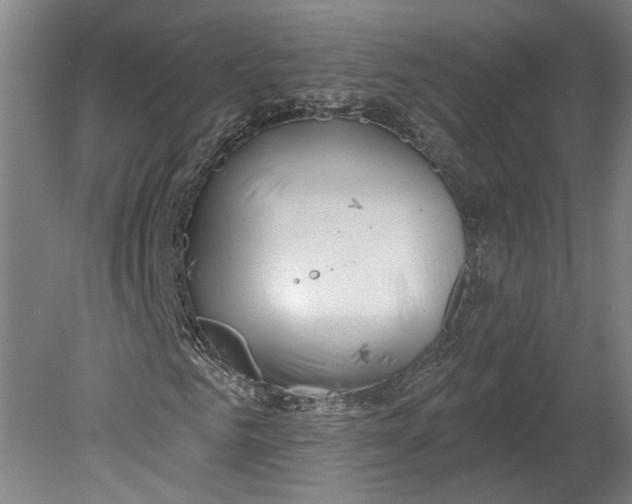 X0000080770961200701051258