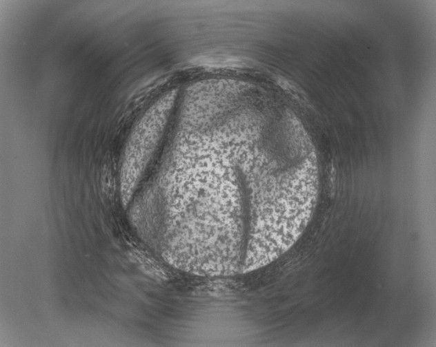 X0000080770966200701051258