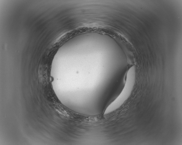 X0000080770968200701051257