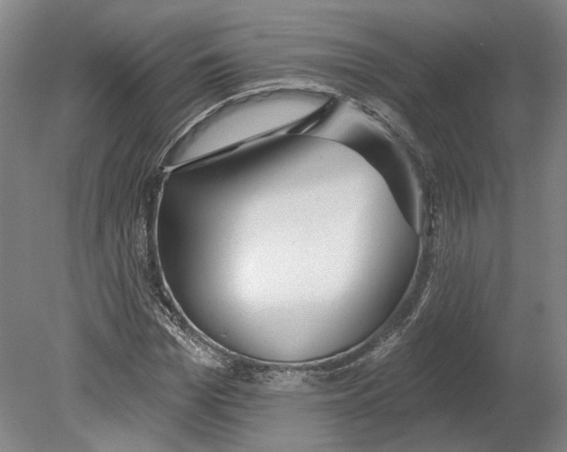 X0000080770969200701051257