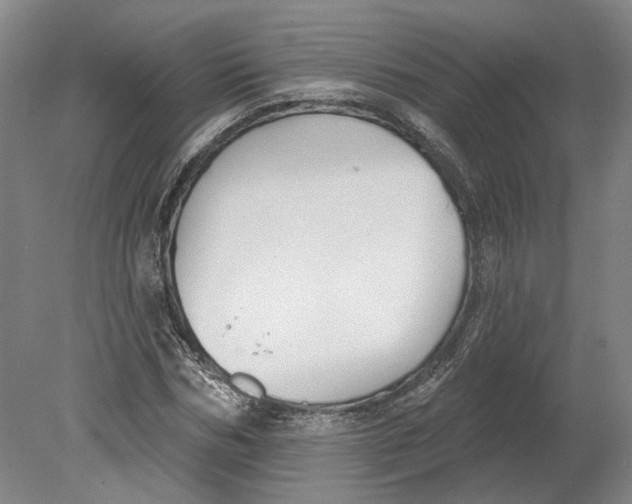 X0000080770970200701051257