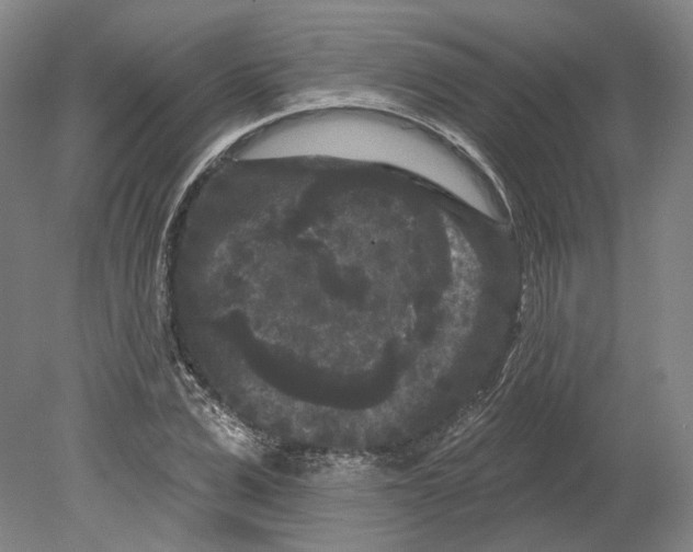 X0000080770975200701051257