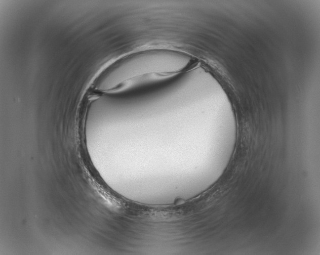 X0000080770976200701051257