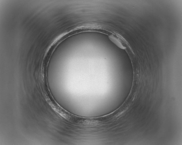 X0000080770981200701051257