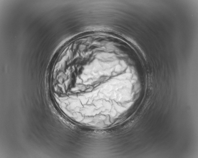 X0000080770983200701051257