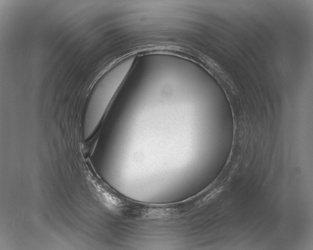 X0000080770985200701051257