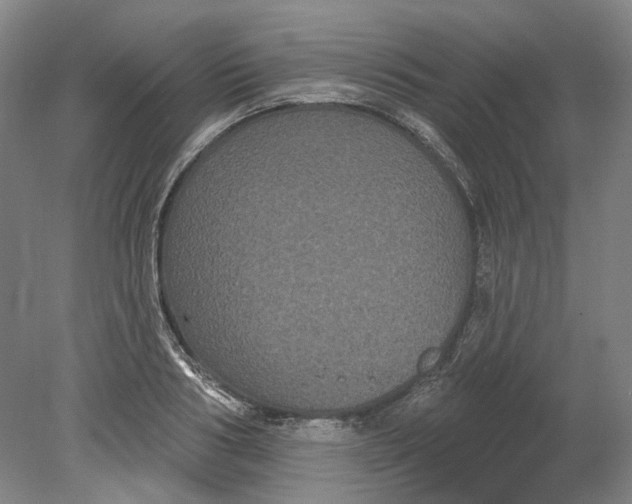 X0000080770986200701051257