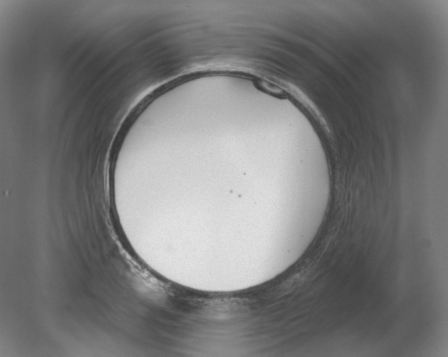 X0000080770988200701051257