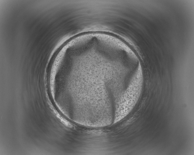 X0000080770990200701051257