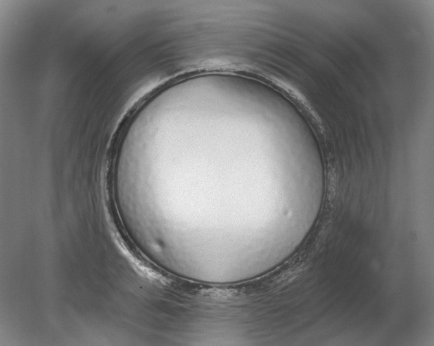 X0000080770991200701051257