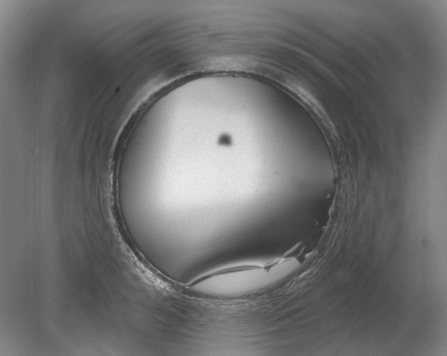 X0000080770992200701051257