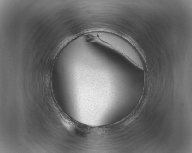 X0000080770993200701051257