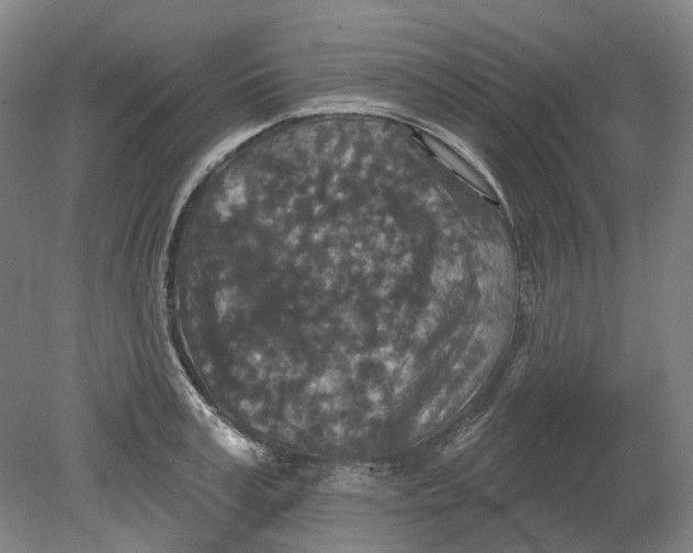 X0000080770995200701051257