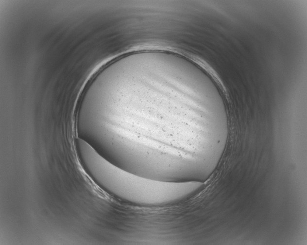 X0000080770996200701051257